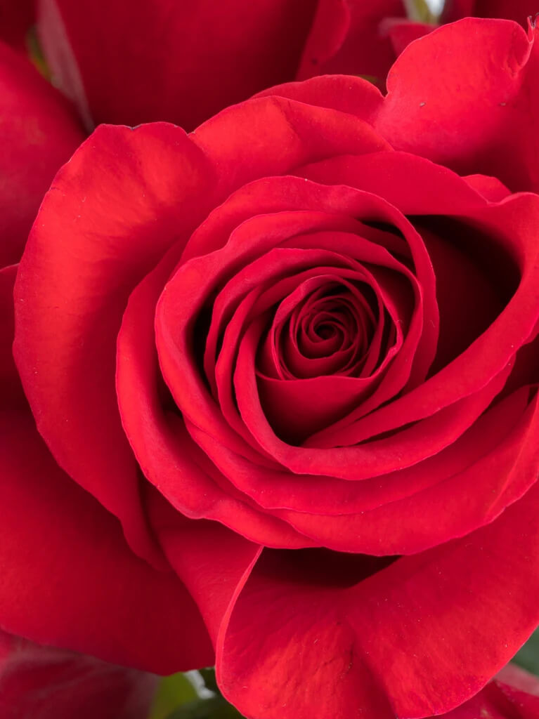 Amour Birthday Bouquet