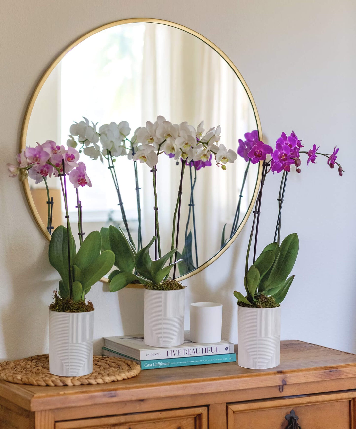 Bloomsy Orchid Flower Subscription