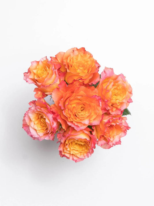 Petite Soleil Birthday Flowers